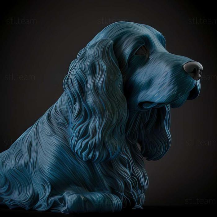 Blue Picardy Spaniel dog